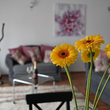 Apartmani Lucija Ludbreg Exteriör bild