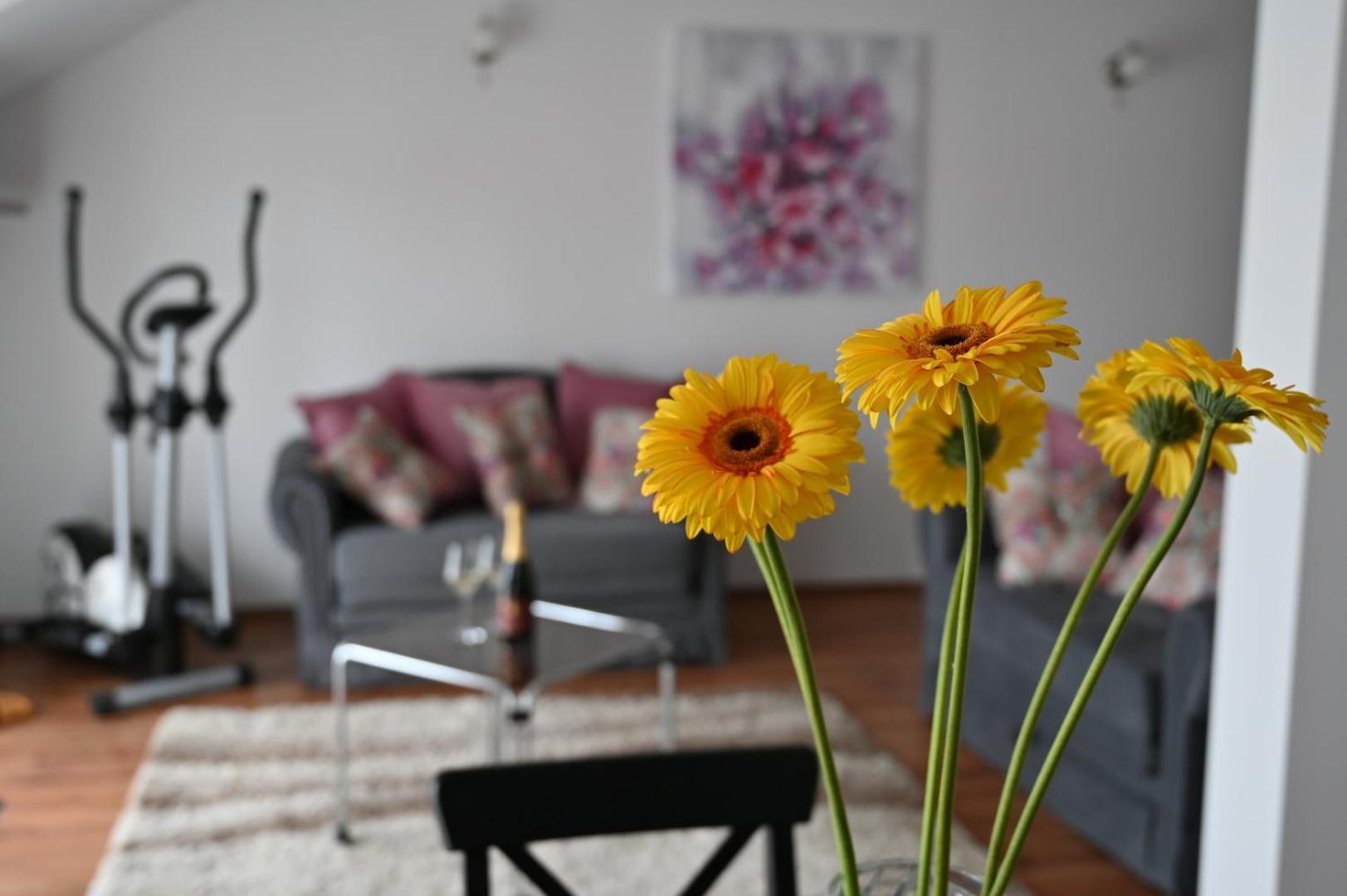 Apartmani Lucija Ludbreg Exteriör bild